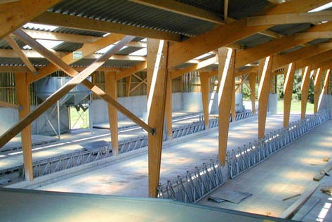 Construction d'une étable équipée d'une fosse sur caillebotis. Deux couloirs de caillebotis avec logettes en extérieur et table d'alimentation au centre.